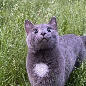 Meet your Posher, Delana